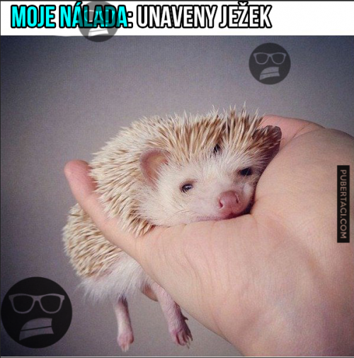  Moje nálada 