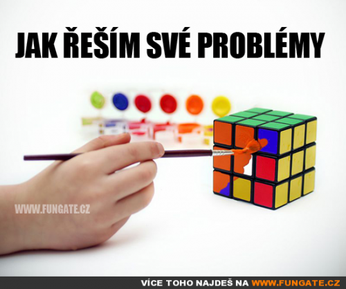  Jak řeším své problémy 