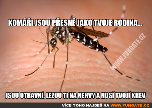  Komáři jsou přesně jako tvoje rodina 