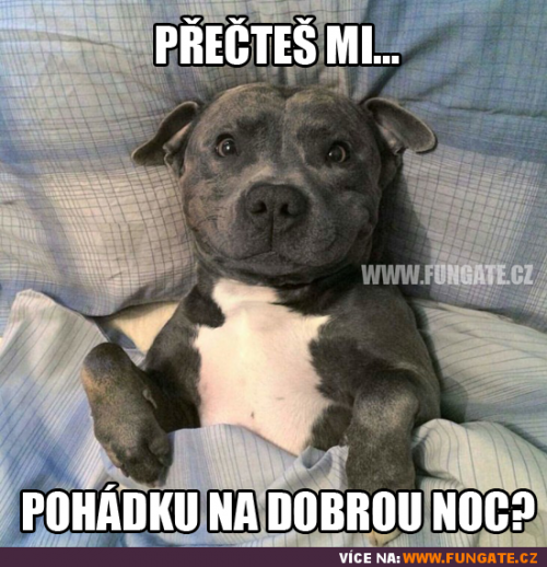  Pohádka 