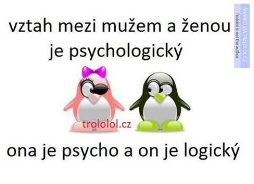  Psychologický vztah 