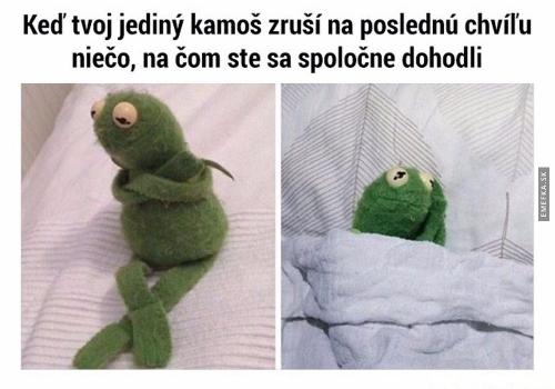 Jediný kámoš