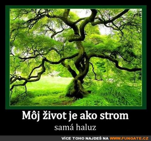  Můj život je jako strom 