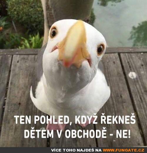  Ten pohled, když řekneš 