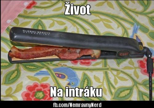 Život na intru