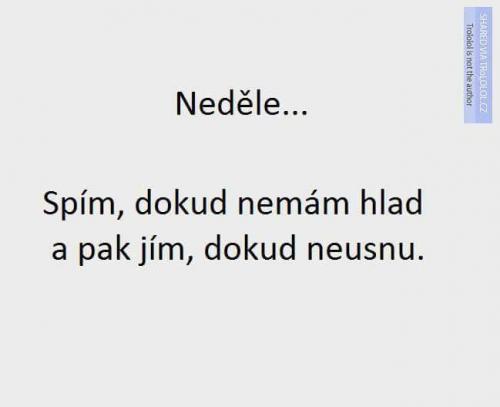  Neděle 