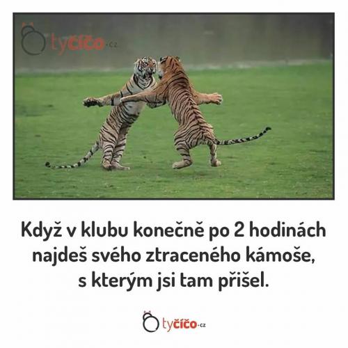 V klubě