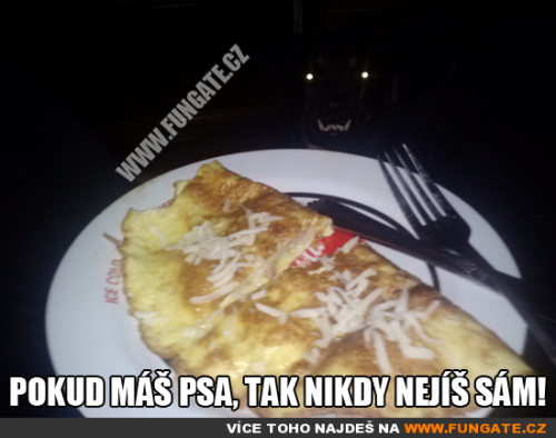 Pokud máš psa, tak nikdy nejíš sám!