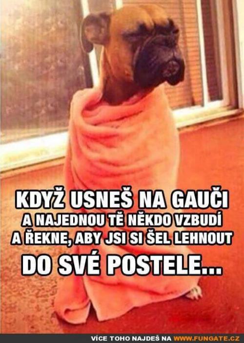 Když usneš na gauči a