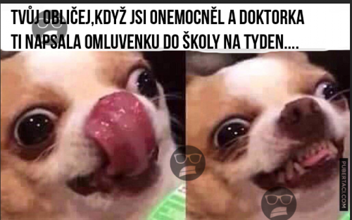  U doktora 