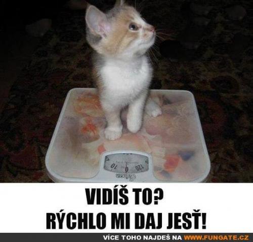 Vidíš to?
