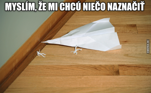 Naznačil