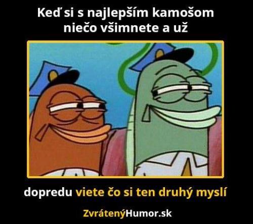  Nejlepší moment 