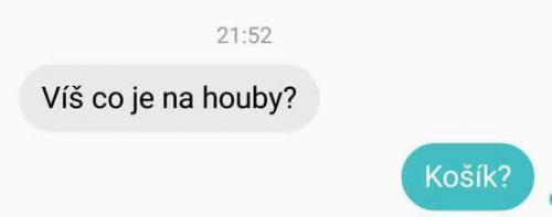  Houby 