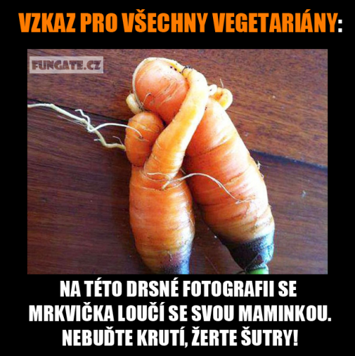 Vegetariánky