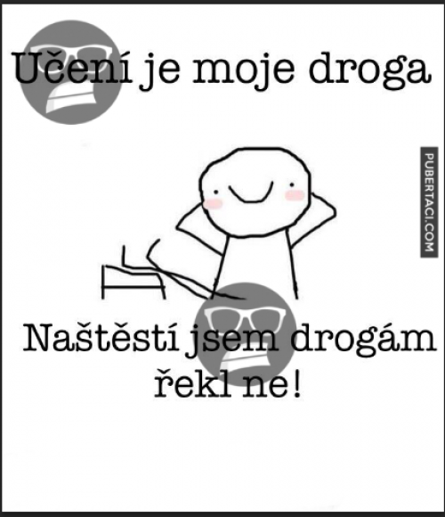  Učení 