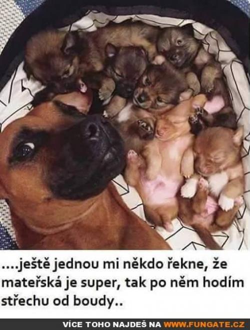  Ještě jednou mi někdo řekne, že 