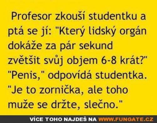  Profesor zkouší studentku a ptá se jí 