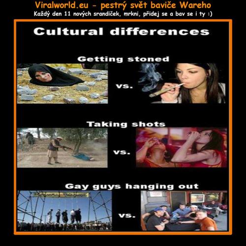  Kulturní rozdíly 
