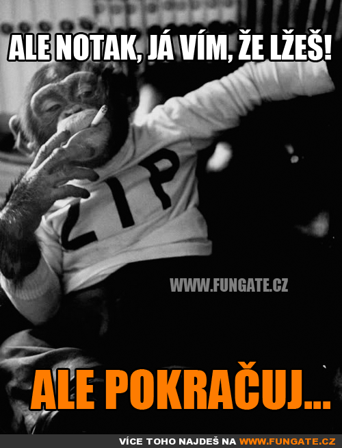  Ale notak, já vím, že lžeš! 