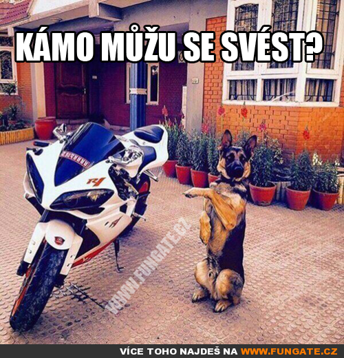  Kámo můžu se svést 