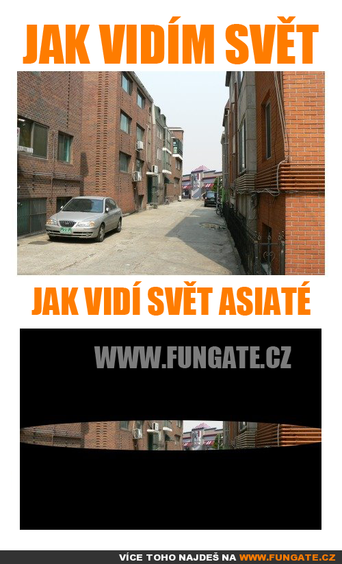  Jak vidím svět 