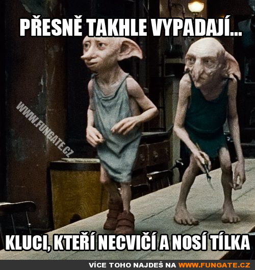  Přesně takhle vypadají 