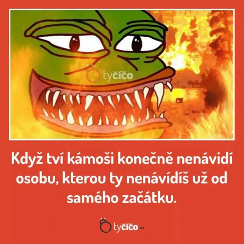  Nenáviděná osoba 