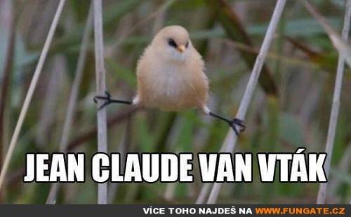  Jean Claude Van Vták 