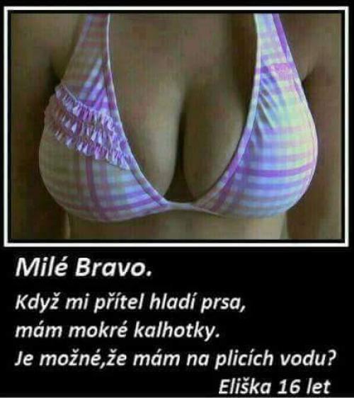  Milé Bravo 