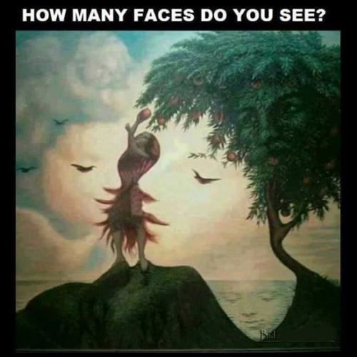  Kolik vidíš obličejů 