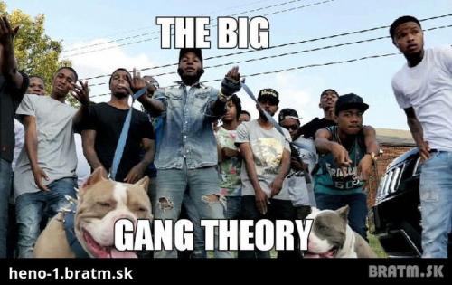  Teorie velkého gangu 