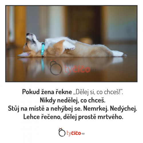 Dělej si co chceš