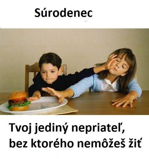 Surodenci