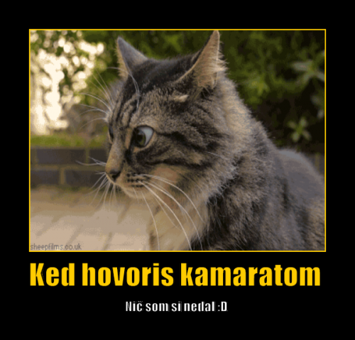  Kámoš 