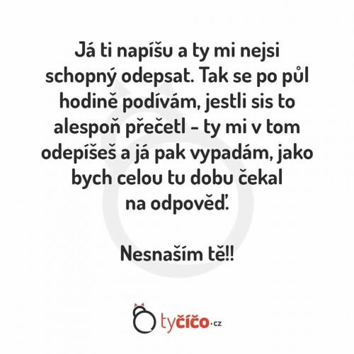 nesnáším tě!