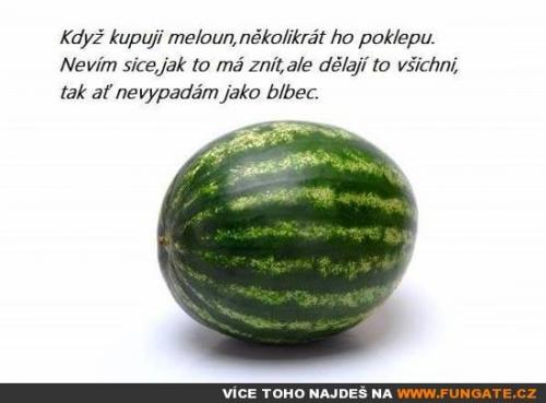  Když kupuji meloun, několikrát ho poklepu 