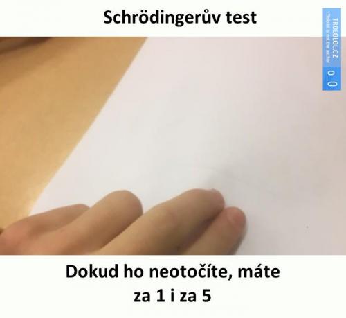  Schrödingerův test 