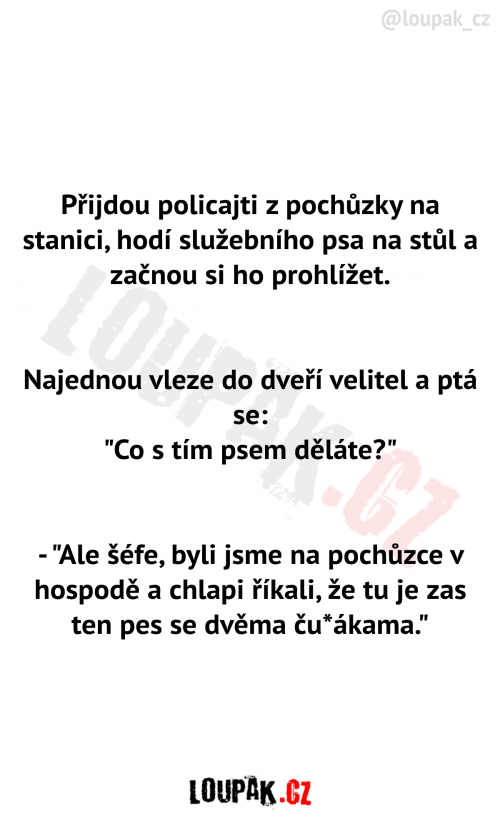  Policajti a pochůzka 