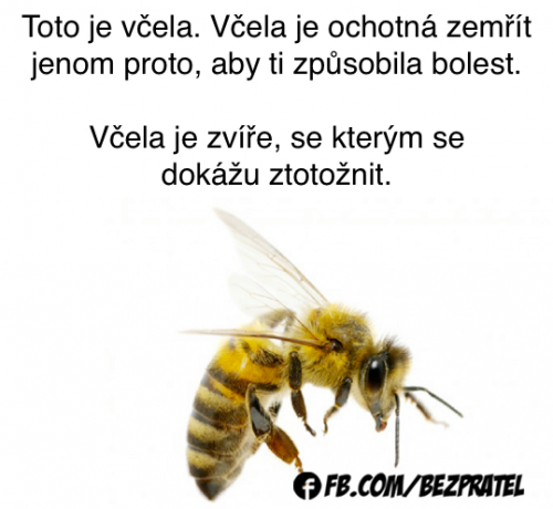  Včela 