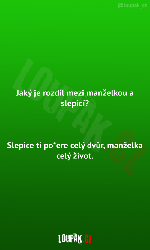  Rozdíl mezi manželkou a slepicí 