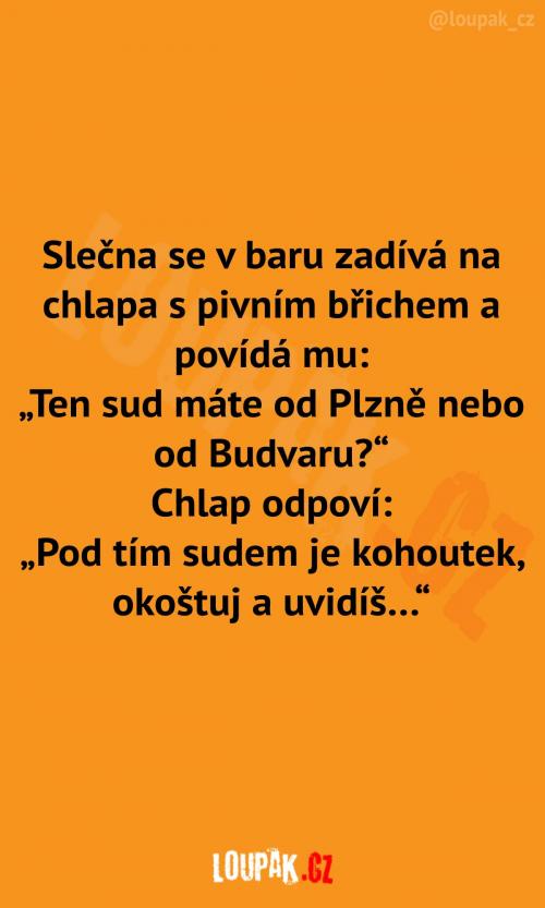  Od Plzně nebo od Budvaru? 