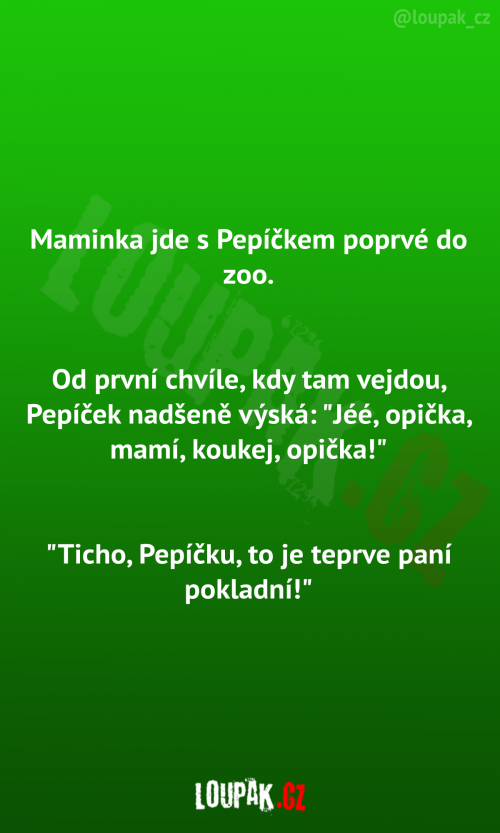  Maminka a Pepíček v zoo 