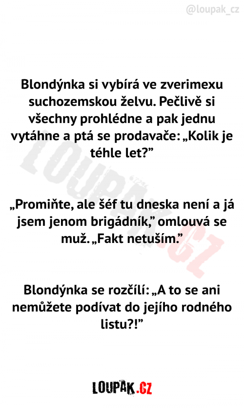  Blondýnka ve zverimexu 