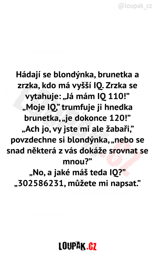  Hledají se blondýnka, brunetka a zrzka 