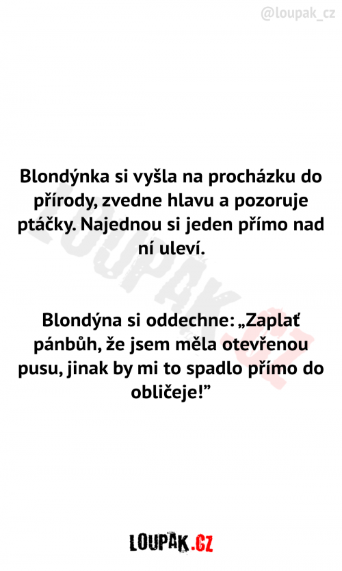  Blondýnka na procházce 