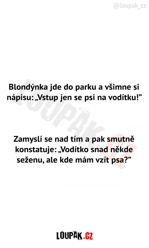  Blondýnka jde do parku 