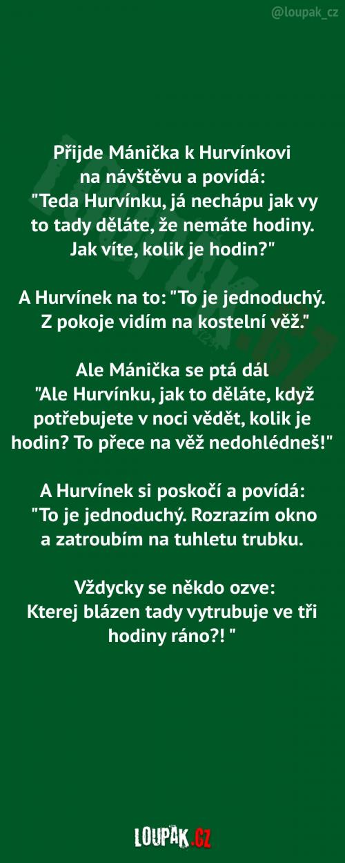  Přijde Mánička k Hurvínkovi 