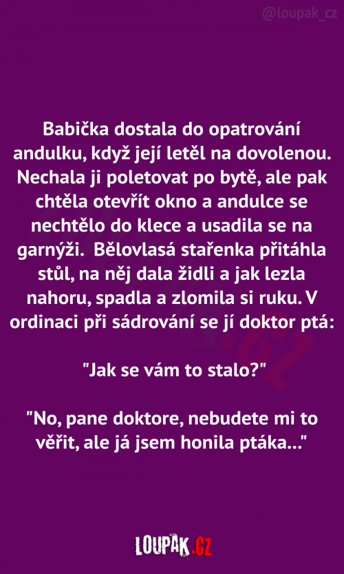  Babička dostala do opatrování andulku… 