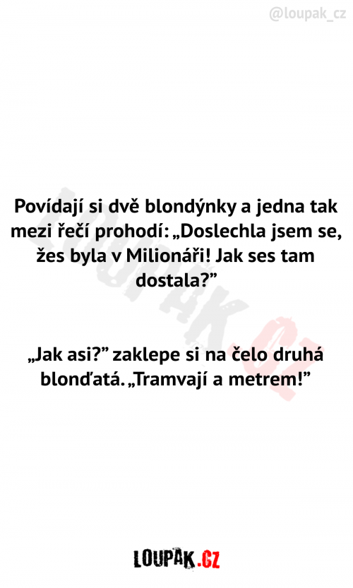  Povídají si dvě blondýnky 